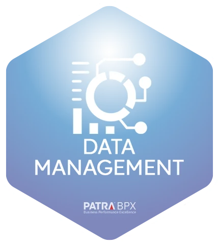 data mgmt icon