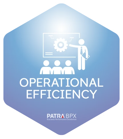 operational efficiency icon